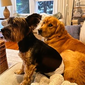 Meet your Posher, Julia & sophie